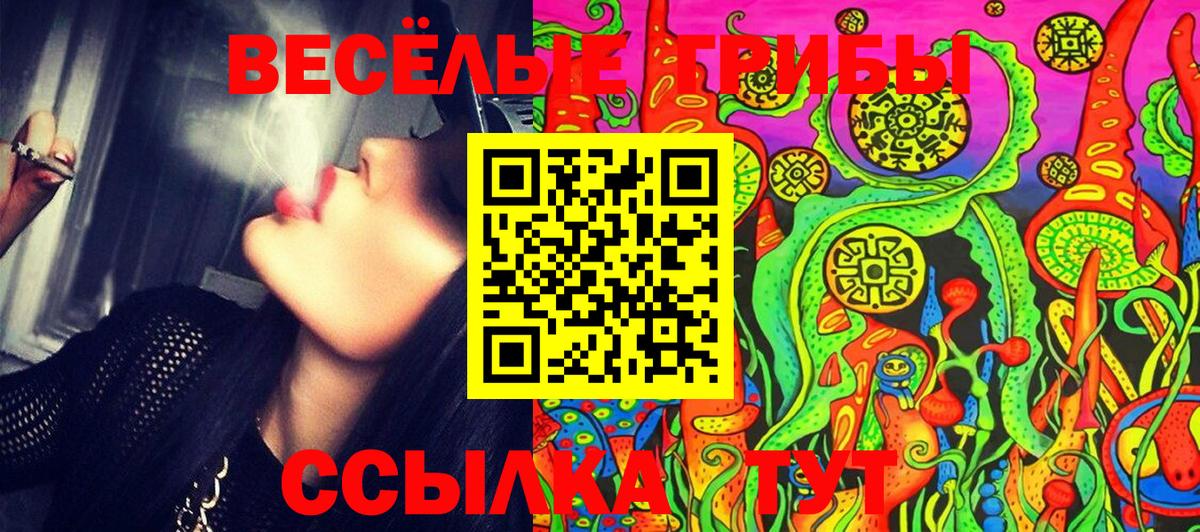 Псилоцибиновые грибы ЛСД  Вход с VPN  Лесозаводск 