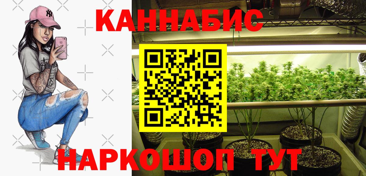 Бошки марихуана план  Канабис Ganja  Вход с VPN  Лесозаводск  Шишки марихуана OG Kush 